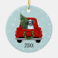 Aussiedoodle dog christmas