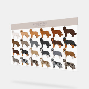 Aussiedoodle dog mix acrylic sign