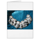 aussies make me smile (Front)