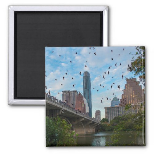 Austin BATS Downtown Magnet