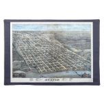 Austin, Texas Antique Aerial City Map from 1873 Cloth Placemat