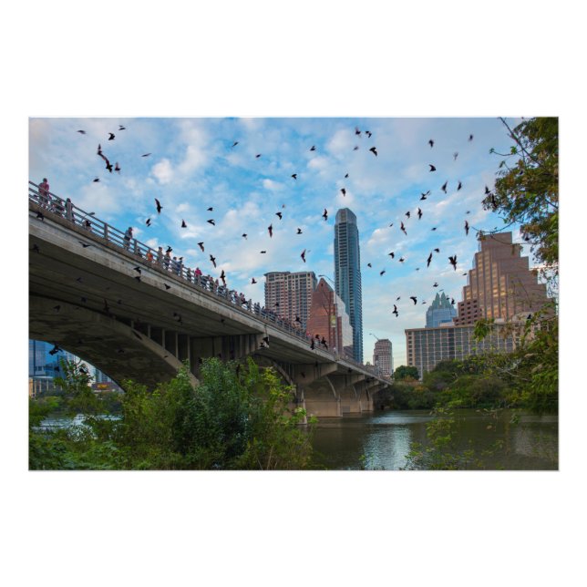 Austin, Texas Bats Photo Print (Front)