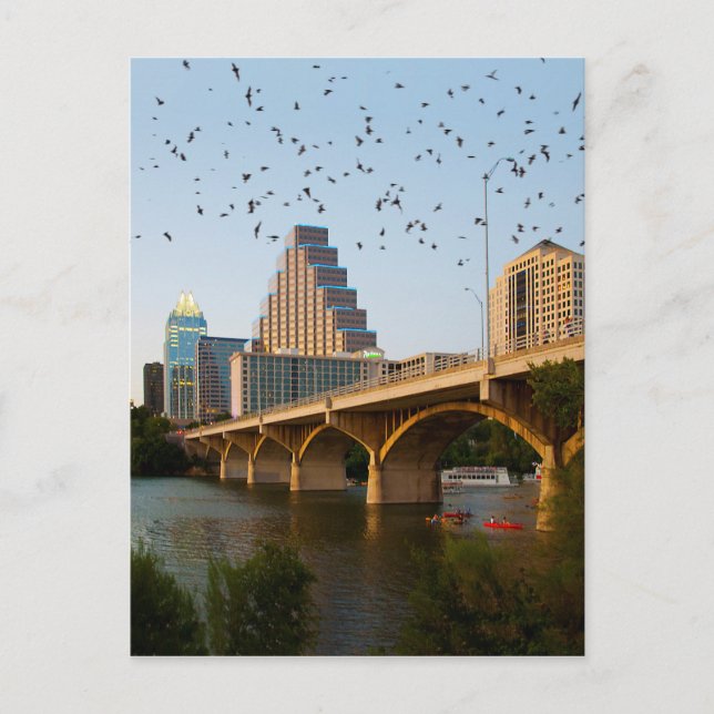 Austin, Texas Congress Bridge Bats Postcard (Front)