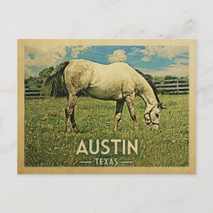 Austin Texas Horse Farm -Vintage Travel Postcard