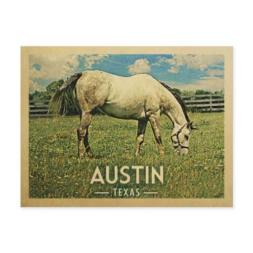 Austin Texas Horse Farm -Vintage Travel Postcard