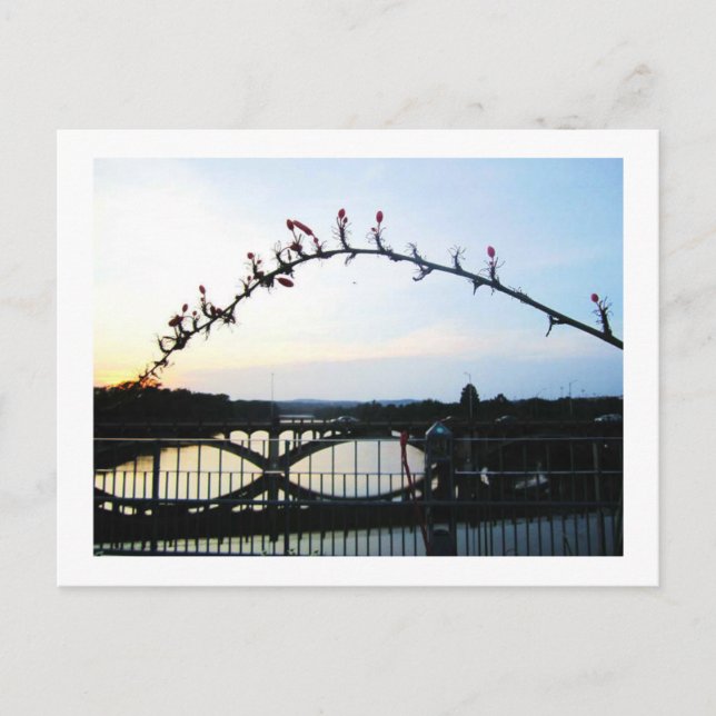 Austin Texas Postcard (Front)