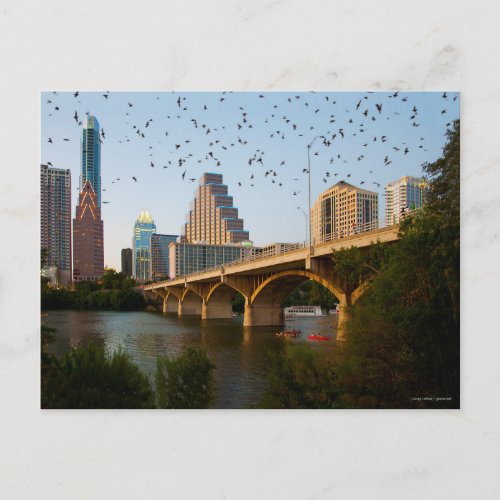 Austin Texas with Bats Postcard