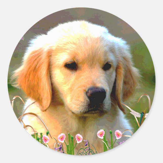 Austin The Golden Labrador Classic Round Sticker (Front)