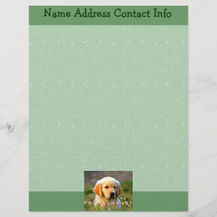 Austin The Golden Labrador Letterhead