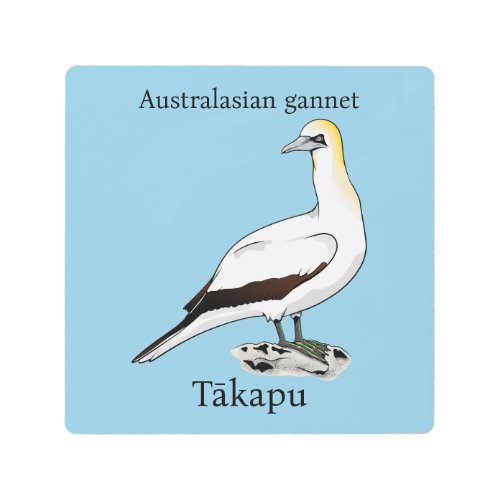 Australasian gannet Äkapu metal print
