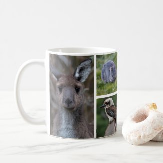 Australia Animals Wildlife Photo Collage