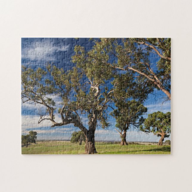 Australia, Barossa Valley, Mount Pleasant Jigsaw Puzzle (Horizontal)