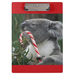 Australia Christmas Koala Bear Clipboard