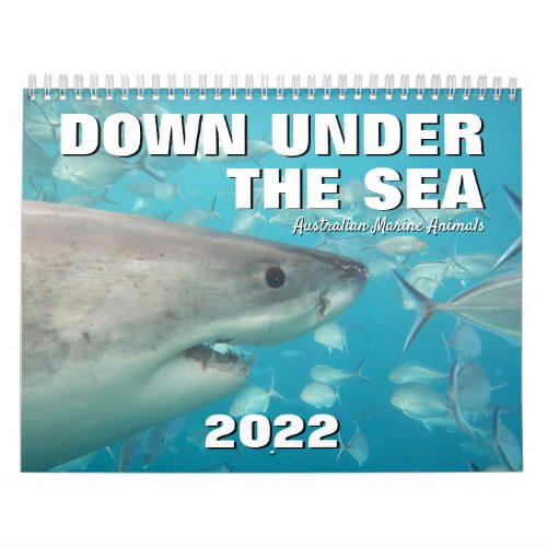 Australia Down Under the Sea 2020 Calendar