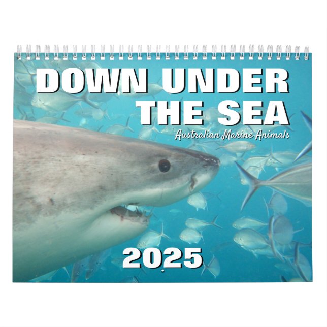 Australia Down Under the Sea 2025 Calendar (Cover)
