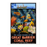 Coral Reef Posters Amp Photo Prints Zazzle