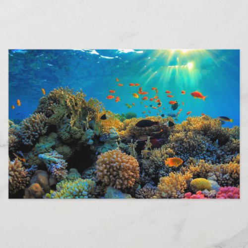 Australia Great Barrier Reef stylized paper sheet