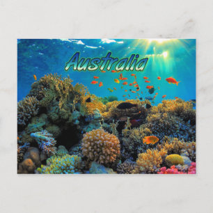 Australia Great Barrier Reef stylized Postcard