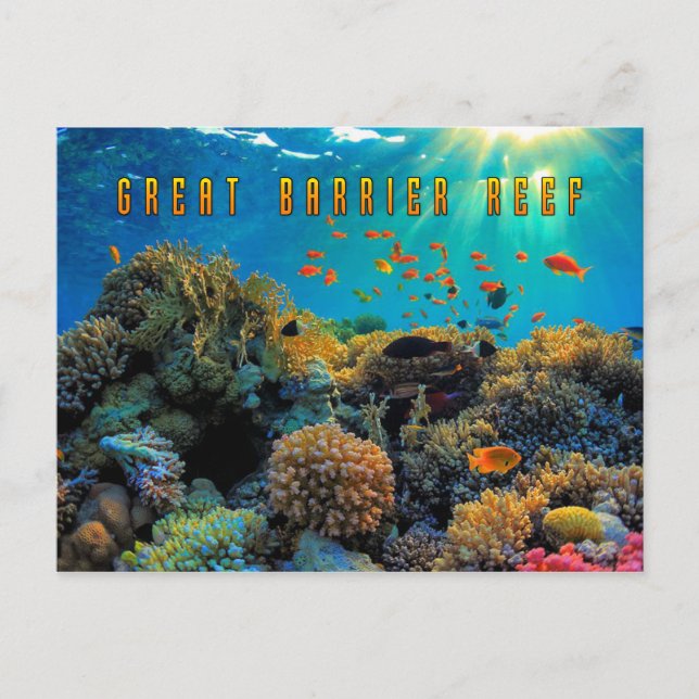 Australia Great Barrier Reef stylized Postcard (Front)