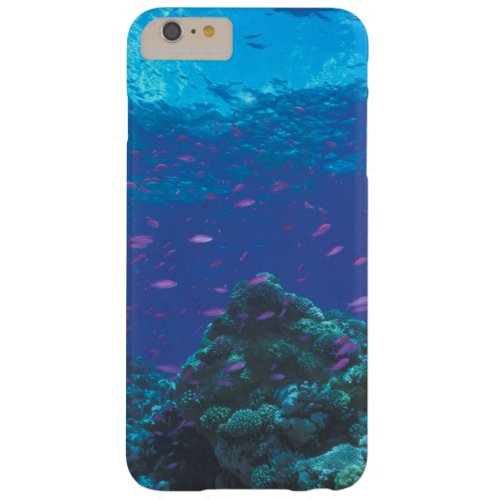 Australia Great Barrier Reef Swarming Purple Barely There iPhone 6 Plus Case