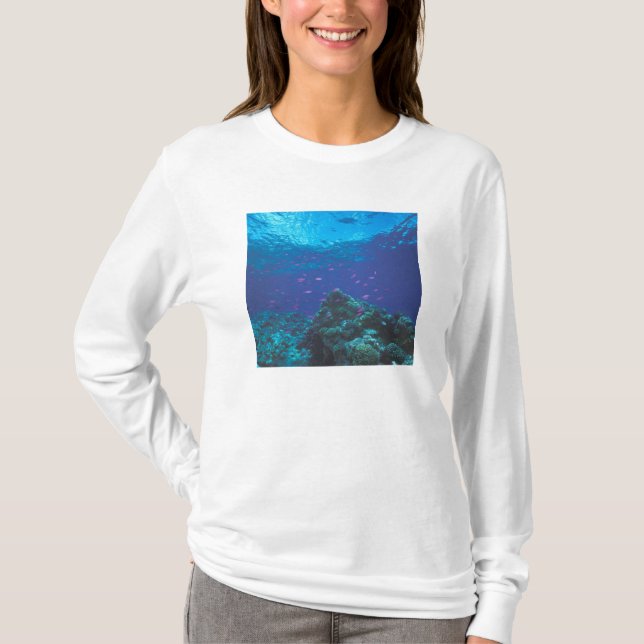 Australia, Great Barrier Reef. Swarming Purple T-Shirt (Front)