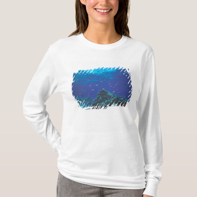 Australia, Great Barrier Reef. Swarming Purple T-Shirt (Front)