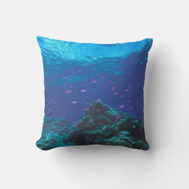 Australia, Great Barrier Reef. Swarming Purple Throw Pillow (Front)
