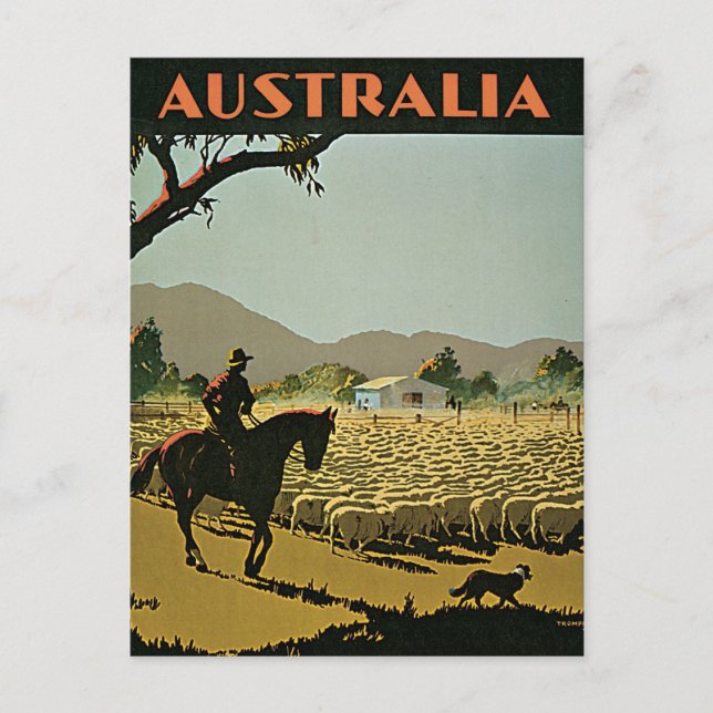 Australia In The Sun Vintage Travel Postcard (Front)
