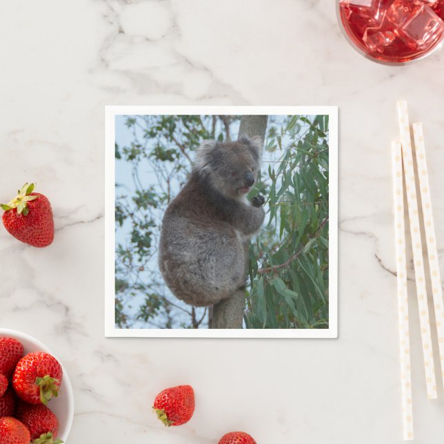 Australia Kangaroo Island Cute Koala in a Tree Napkins (Insitu)