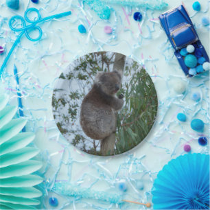 Australia Kangaroo Island Cute Koala in a Tree Paper Plates