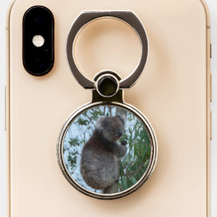 Australia Kangaroo Island Cute Koala in a Tree Phone Ring Stand