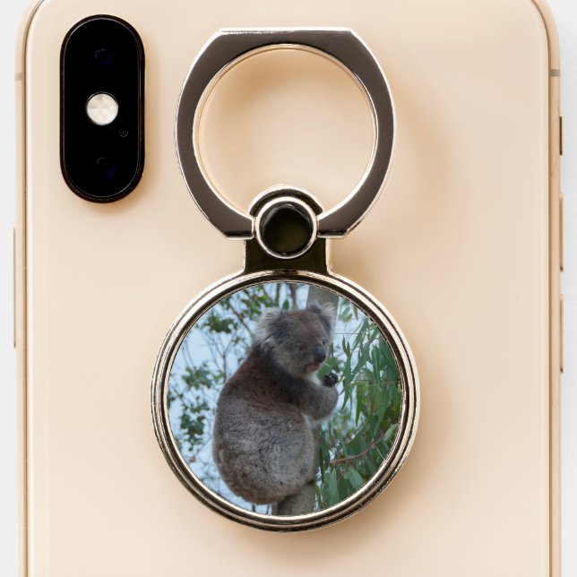 Australia Kangaroo Island Cute Koala in a Tree Phone Ring Stand (Close Up)