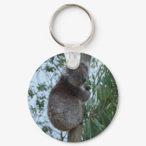 Australia Kangaroo Island Koala in a Tree Keychain