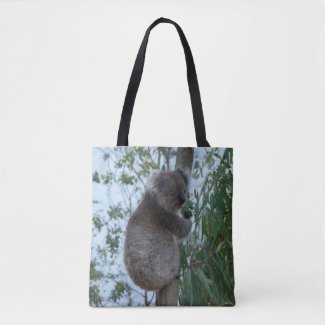 Australia Kangaroo Island Koala in a Tree