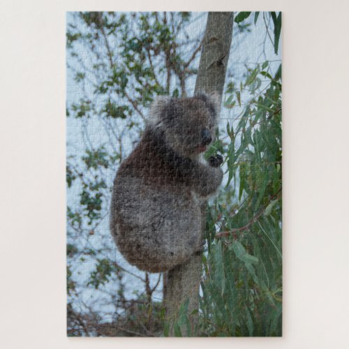 Australia Kangaroo Island Koala Tree 1014 pieces Jigsaw Puzzle