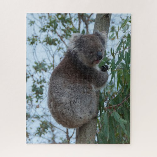 Australia Kangaroo Island Koala Tree 520 pieces Jigsaw Puzzle