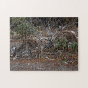 Australia Kangaroo Kids Jigsaw Puzzle