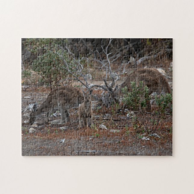 Australia Kangaroo Kids Jigsaw Puzzle (Horizontal)