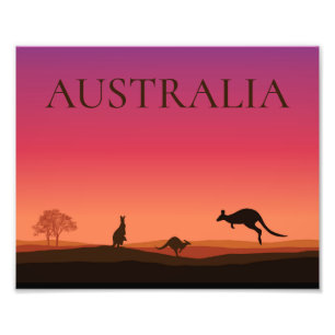 Australia Kangaroos Photo Poster Print