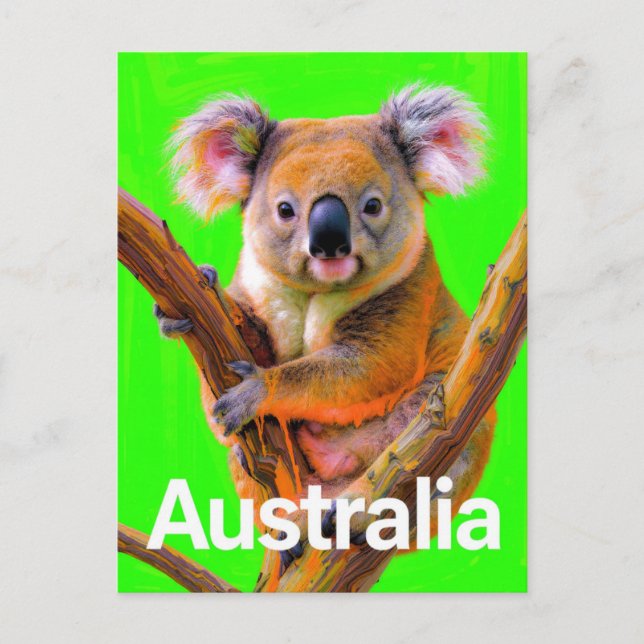 Australia Koala Bear Pop Art Postcard (Front)