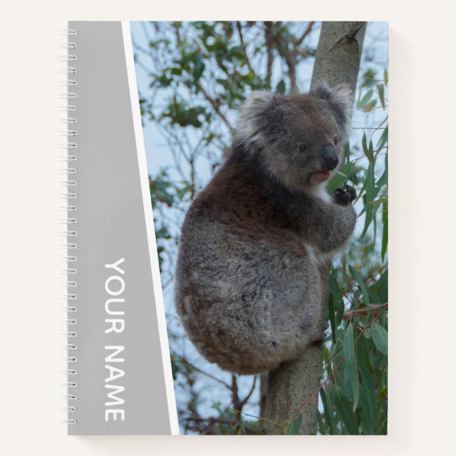 Australia Koala in a Eucalyptus Tree, Silver Notebook (Front)