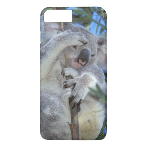 Australia Koala Phasclarctos Cinereus iPhone 8 Plus7 Plus Case