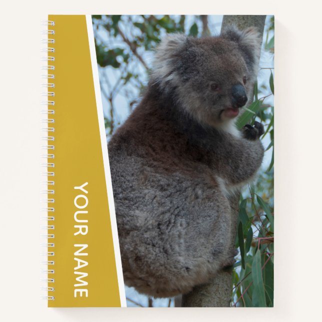 Australia Koala Portrait Photo, Gold Notebook (Front)