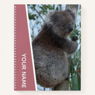 Australia Koala Portrait Photo, Rose Gold Notebook