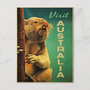 Australia Koala Postcard