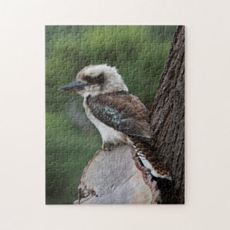Australia Kookaburra Bird in Tree Kids, 252 pieces