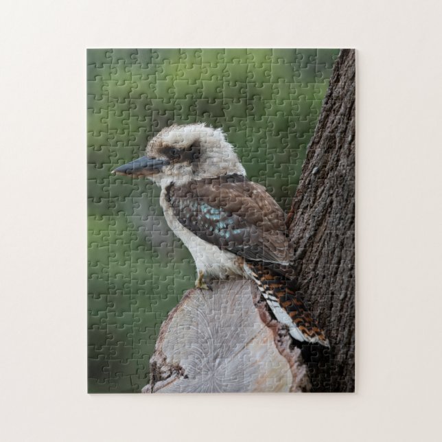 Australia Kookaburra Bird in Tree Kids, 252 pieces Jigsaw Puzzle (Vertical)