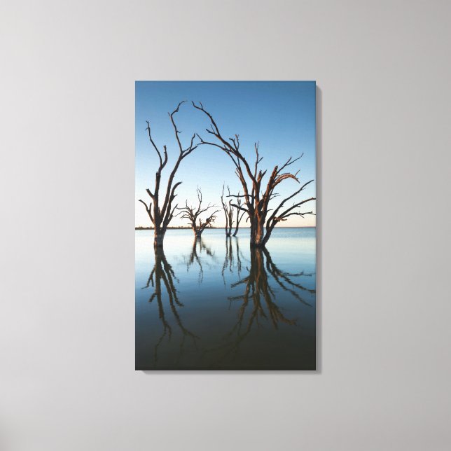 Australia, Murray River Valley, Barmera, Lake Canvas Print (Front)