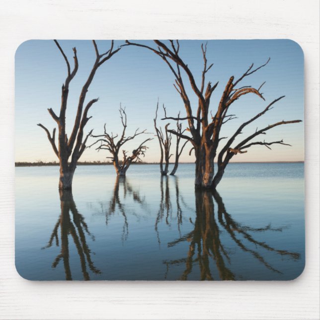 Australia, Murray River Valley, Barmera, Lake Mouse Pad (Front)