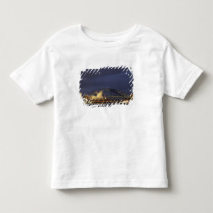 Australia, New South Wales, Sydney, Sydney Opera 3 Toddler T-shirt